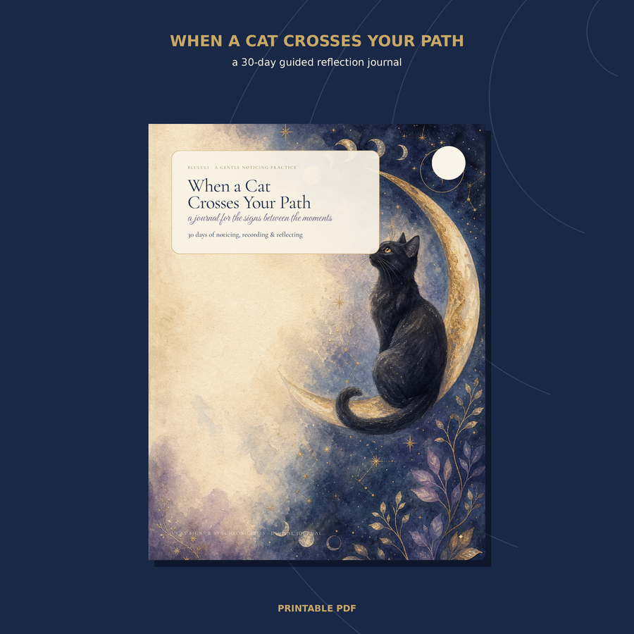 Illustrated cover of When a Cat Crosses Your Path, a 30-day cat signs reflection journal.