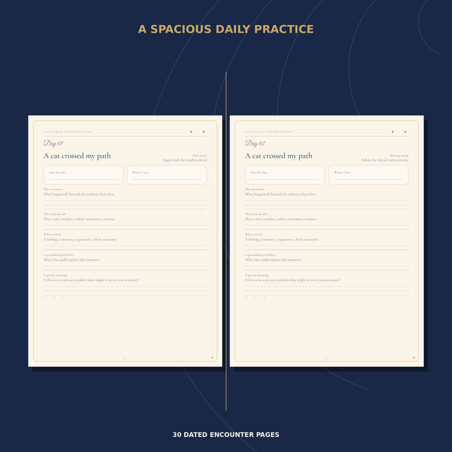 Two actual daily journal pages with structured writing space.