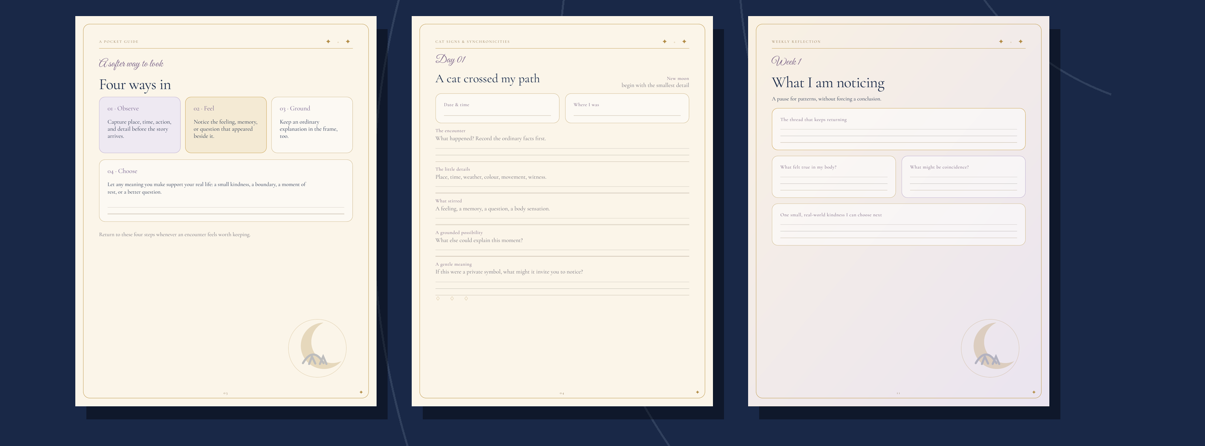 Overview of the pocket guide, daily pages, and weekly reflections included in the journal.