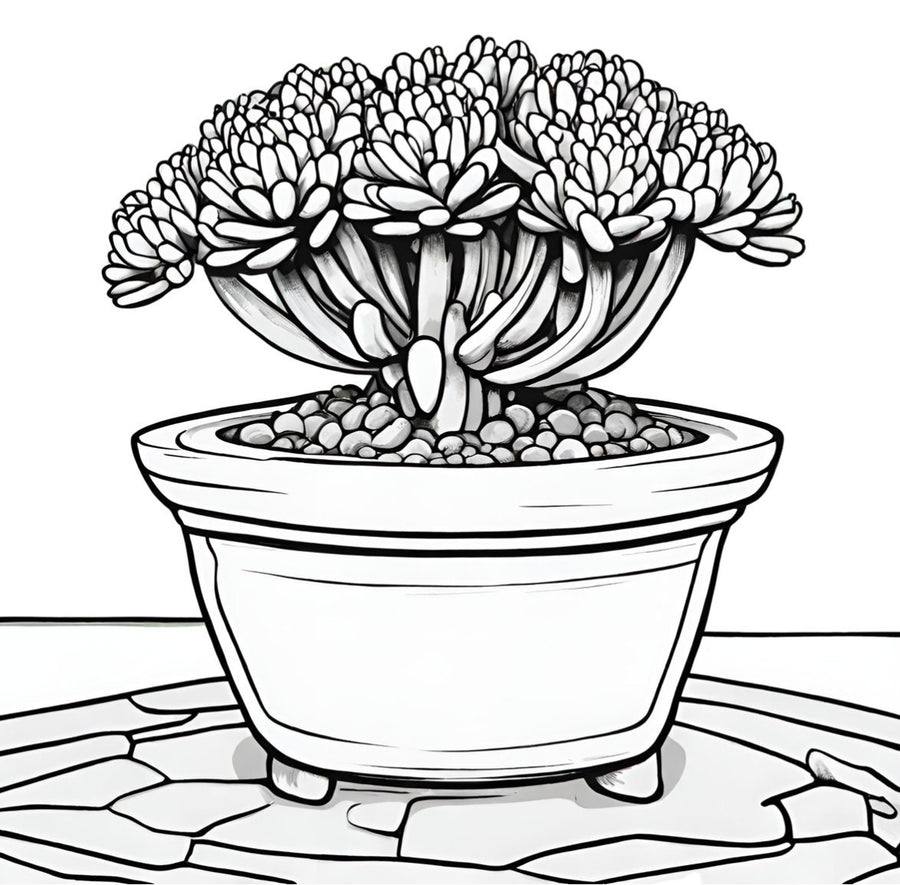 Artistic Antistress Coloring Book with Desert Botanical Illustrations