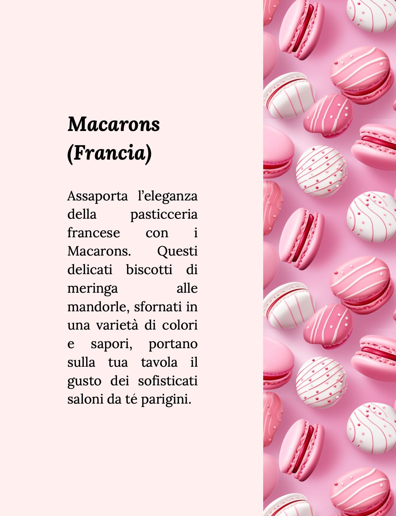 Modellbuch der Ricette di Mondo – Abmessungen A4 und 8,5x11 Zoll