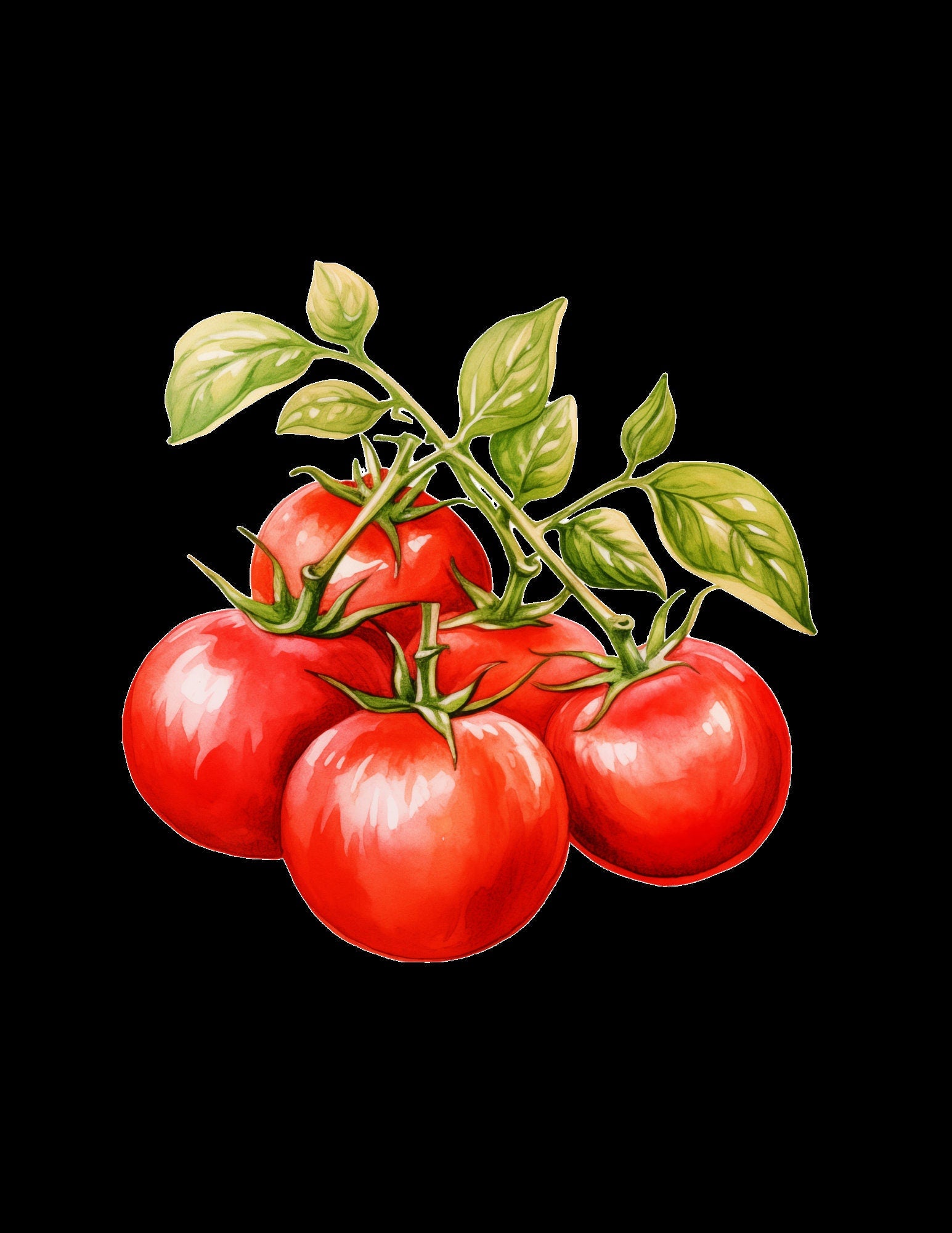 Blululi Aquarell Gemüse ClipArts - 65 PNG