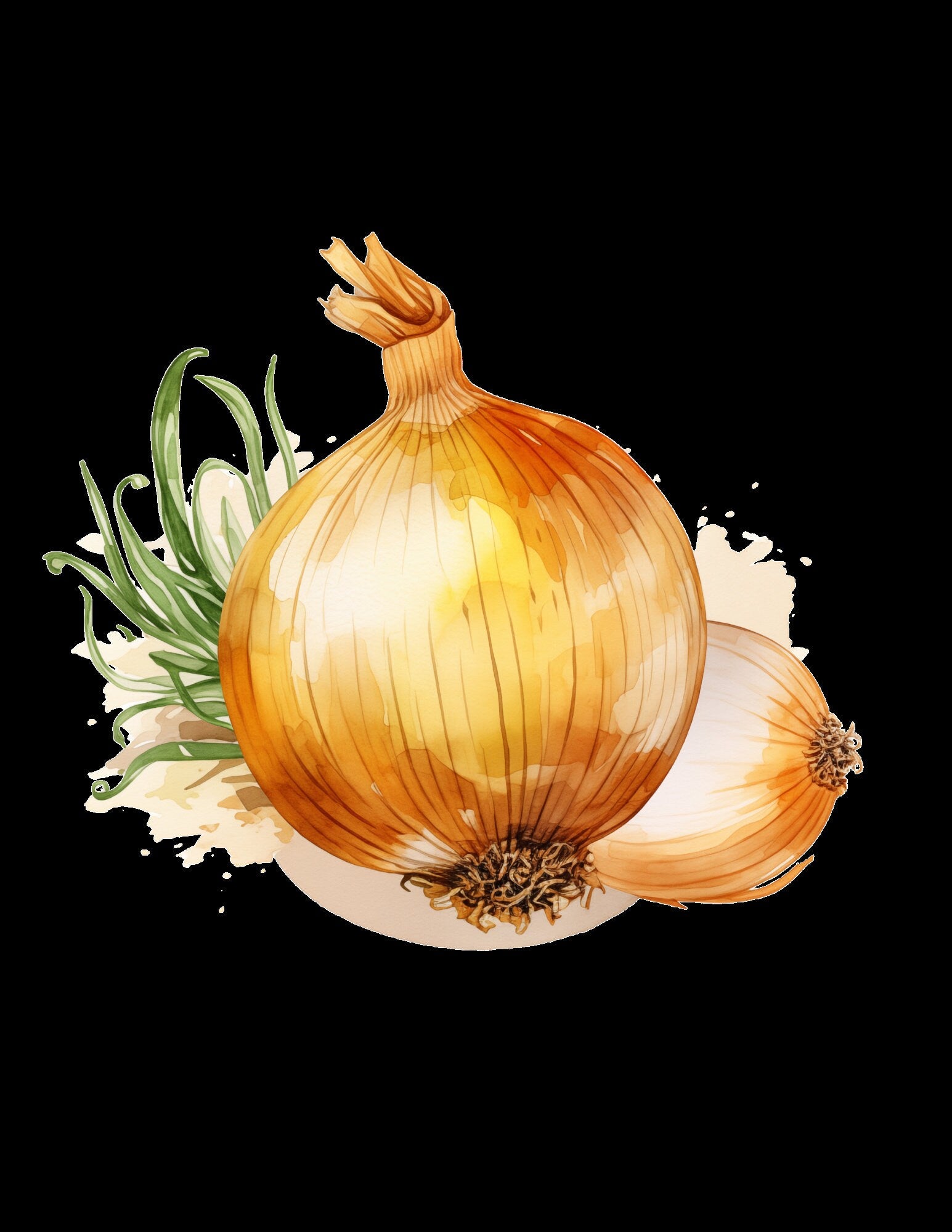 65 PNG Aquarell Gemüse ClipArts - Entdecken Sie kulinarische Kreativität! Frische, künstlerische und vielseitige Küchendesigns! PNG ClipArt, Kochbuch