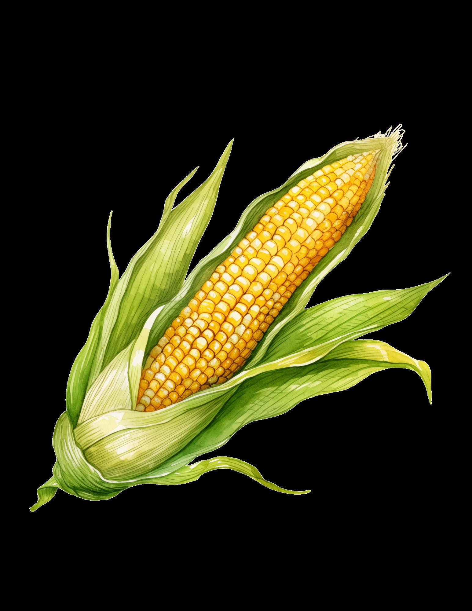 Blululi Aquarell Gemüse ClipArts - 65 PNG
