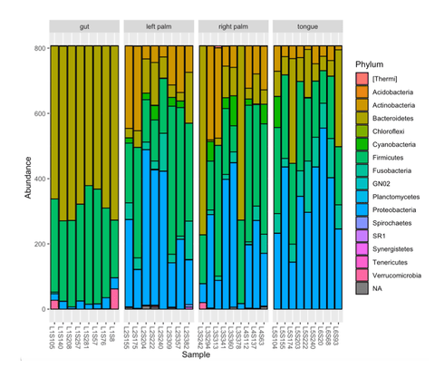 Bioinformatik