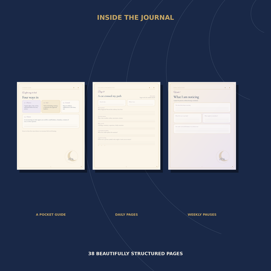 Overview of the pocket guide, daily pages, and weekly reflections included in the journal.