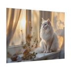 Rolled Poster — Serene Longhair Cat on Window Sill | Cozy Home Wall Art