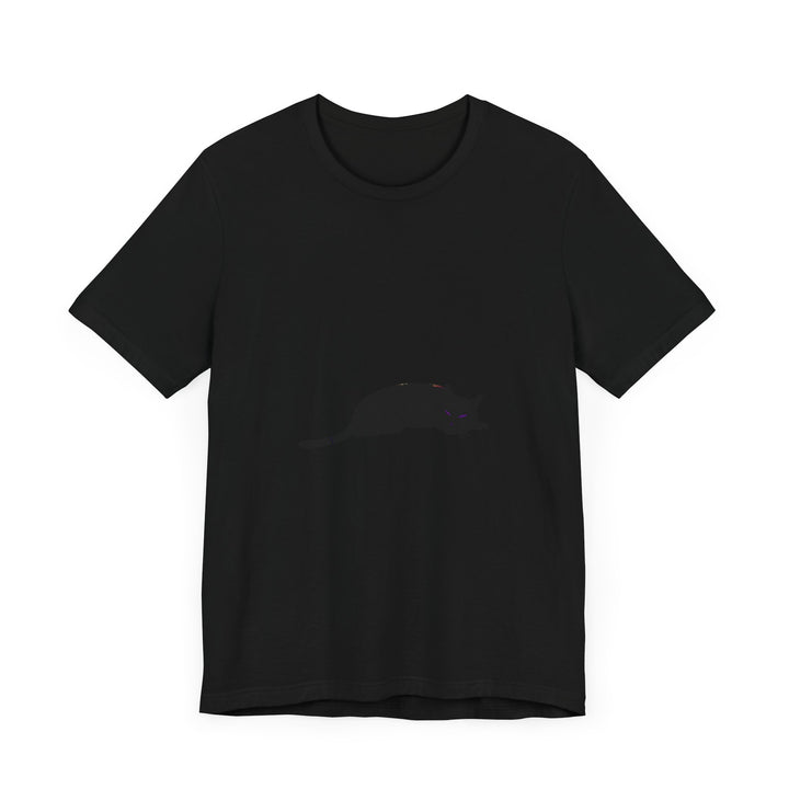 Black Cat Mystery T-Shirt featuring a spooky and cool design for Halloween