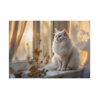 Rolled Poster — Serene Longhair Cat on Window Sill | Cozy Home Wall Art
