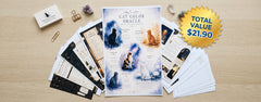 Cat Bundle — Your Next Mindful Break