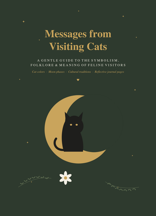 Spiritual Meaning of Cats Visiting Your Home | inspired by folklore, Printable PDF Guide | Cat Symbolism | Cat Color Meanings | Instant Download