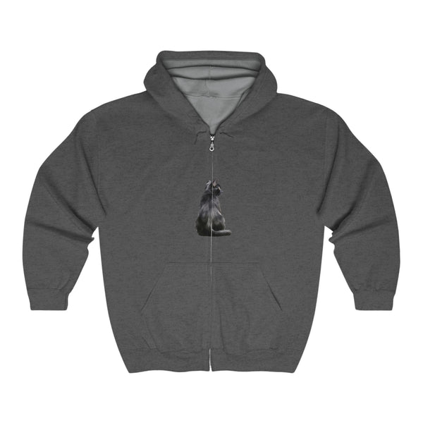 Black Cat Hoodie - Cozy Comfort for Cat Lovers