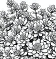 Detailed Desert Coloring Pages with Cacti and Succulents for Relaxation