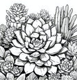 Meditative Desert Coloring Pages with Cacti and Succulents