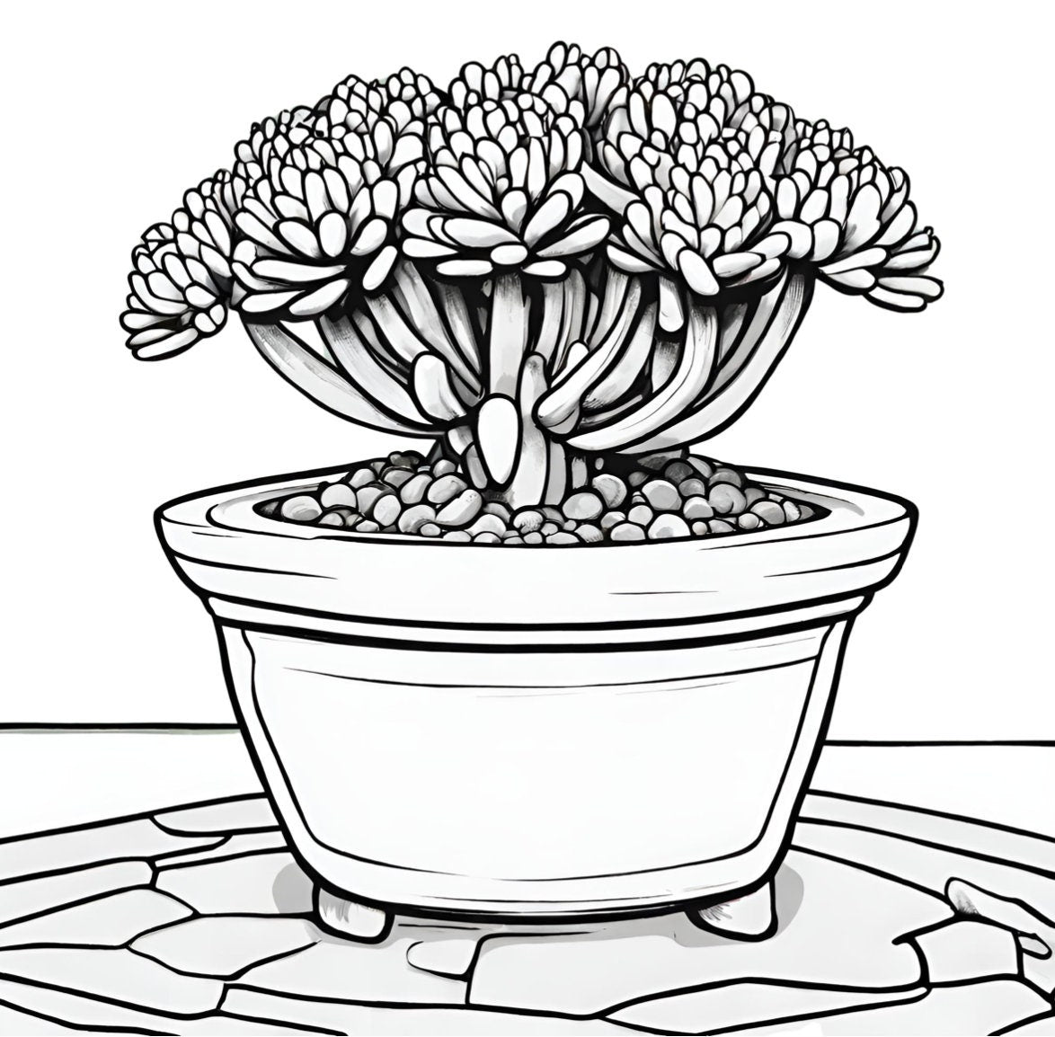 Artistic Antistress Coloring Book with Desert Botanical Illustrations