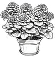 Stress-Relieving Coloring Book featuring Desert Oasis Cacti and Succulents