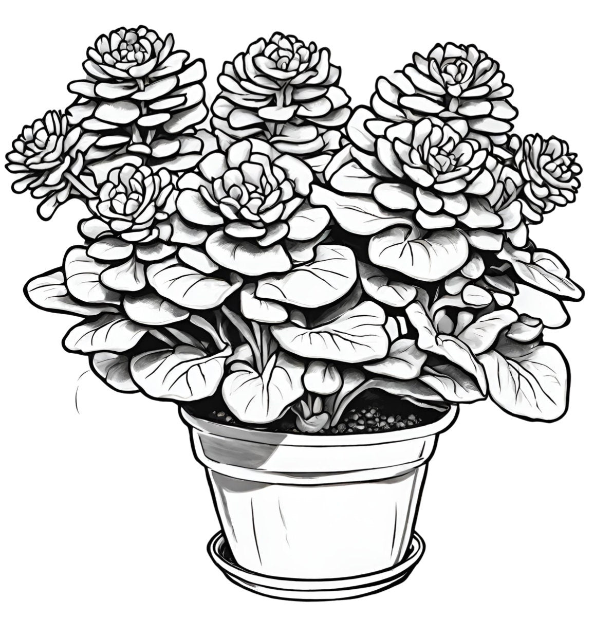 Desert Oasis Coloring Book: Cacti and Succulents, Mindfulness Coloring, Botanical Coloring, Antistress, Art Therapy, Desert Coloring Pages