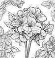 Tranquil Desert Oasis Coloring Book with Cacti and Succulents