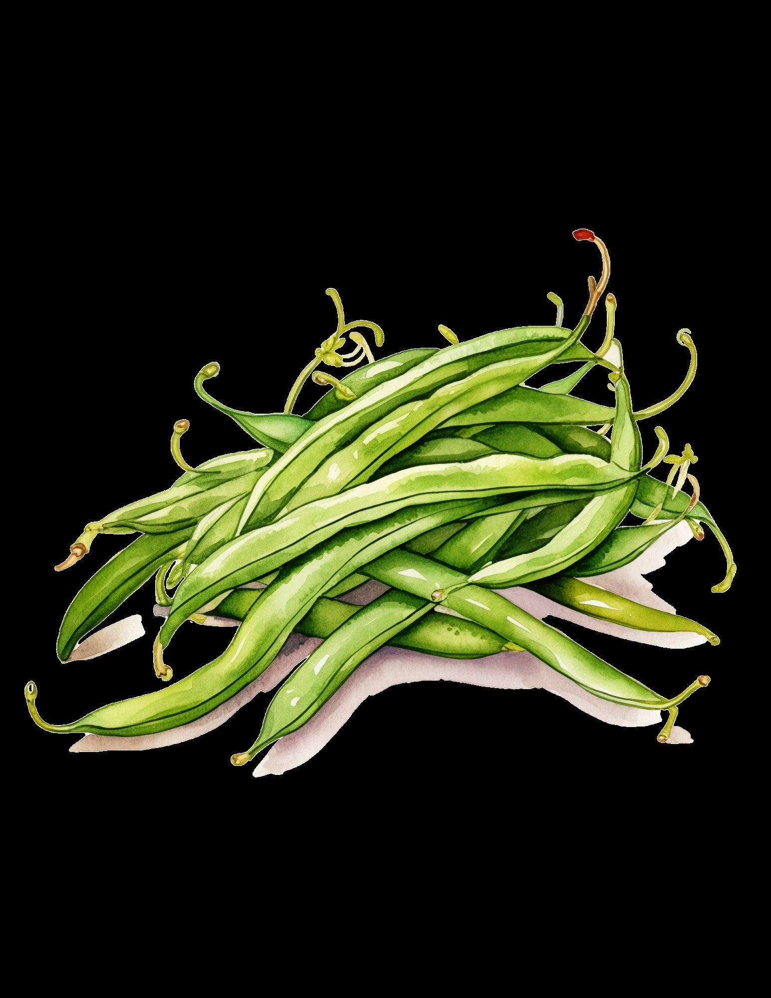Blululi Aquarell Gemüse ClipArts - 65 PNG
