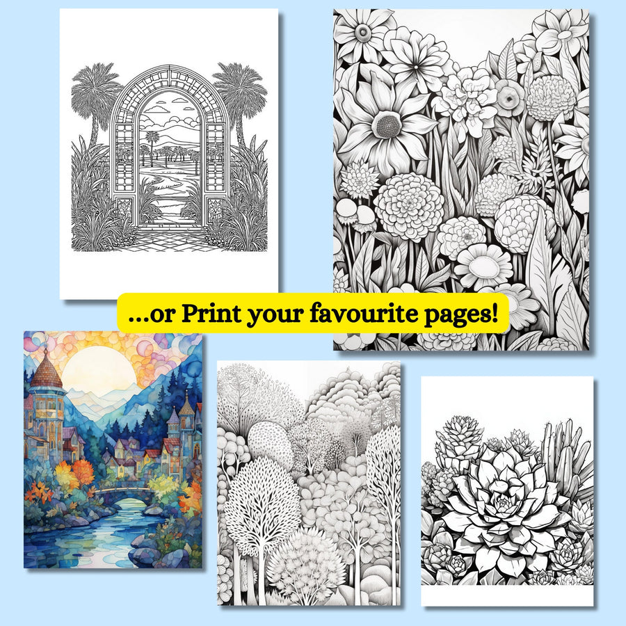 Coloring book bundle with 139 pages of detailed landscapes for traditional and reverse coloring