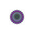 Intricate Purple & Green Mandala Poster Poster - Blululi