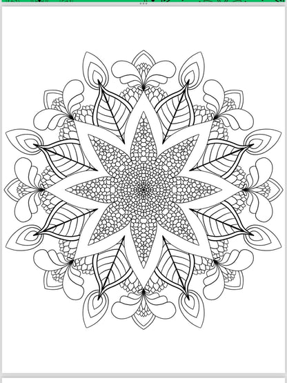 Mandala Coloring Pages - 16 Unique Hand - Drawn Designs digital download - Blululi