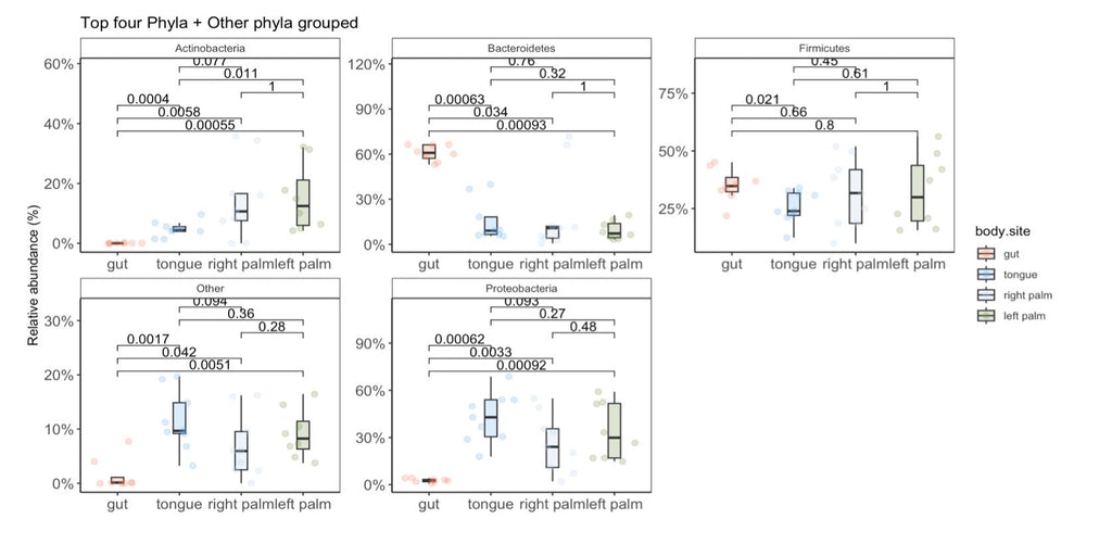 Microbiome 16S rRNA Data Analysis R Code and PDF Bundle - Advanced Phyloseq Analysis digital download - Blululi