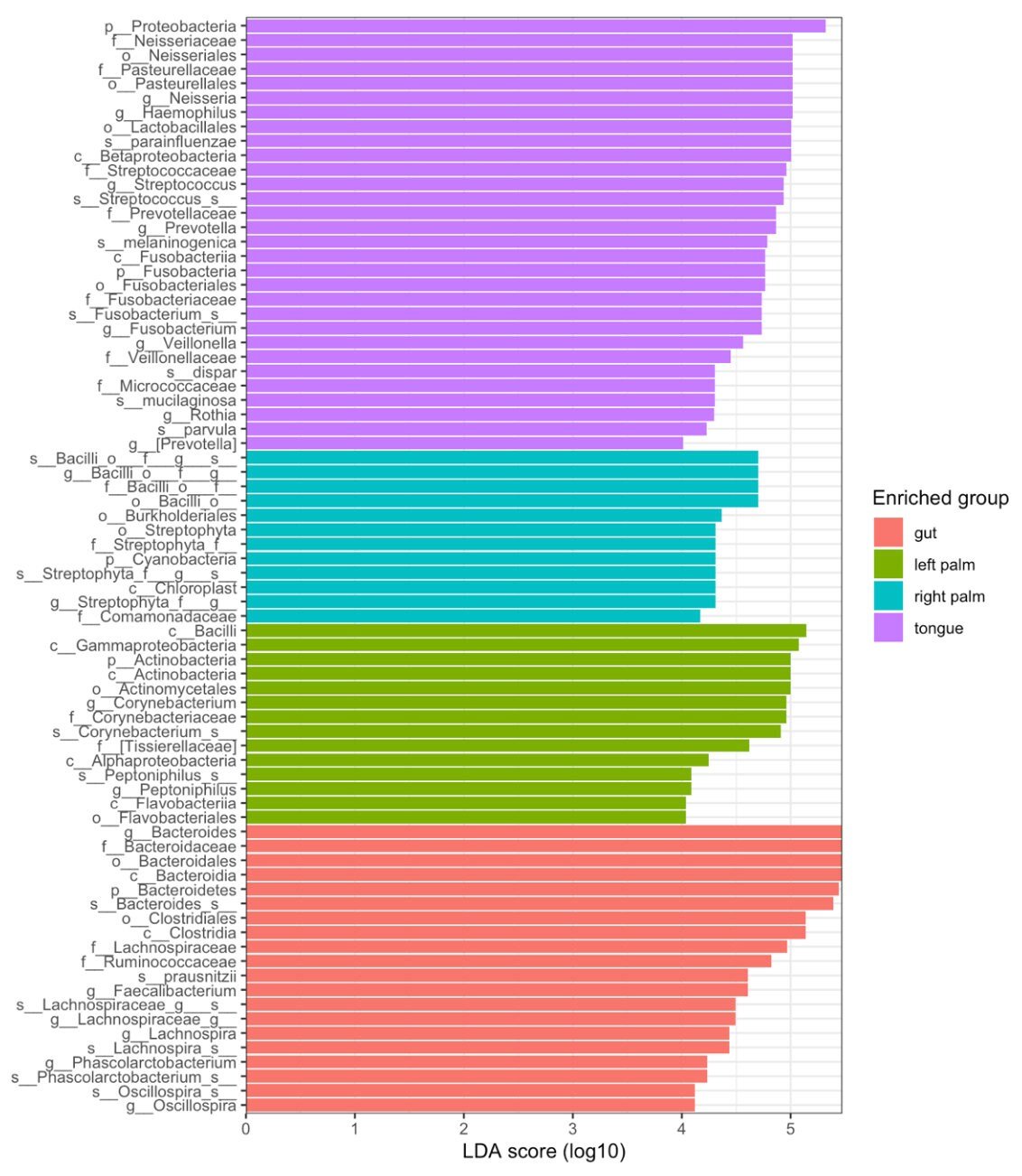 Microbiome 16S rRNA Data Analysis R Code and PDF Bundle - Advanced Phyloseq Analysis digital download - Blululi