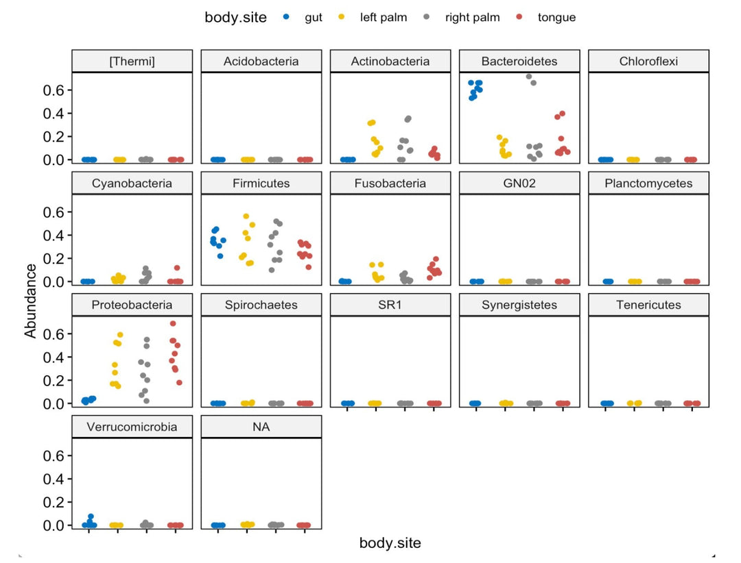 Microbiome 16S rRNA Data Analysis R Code and PDF Bundle - Advanced Phyloseq Analysis digital download - Blululi