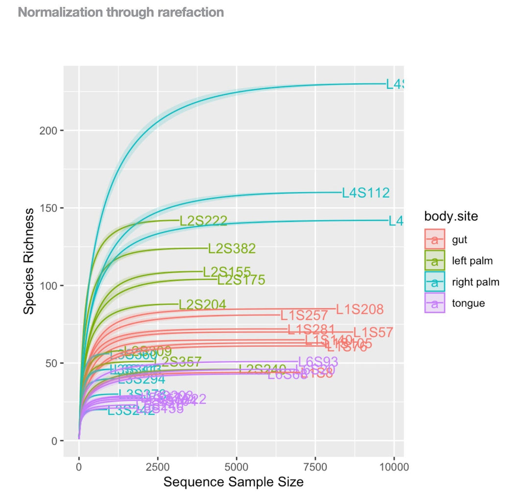 Microbiome 16S rRNA Data Analysis R Code and PDF Bundle - Advanced Phyloseq Analysis digital download - Blululi