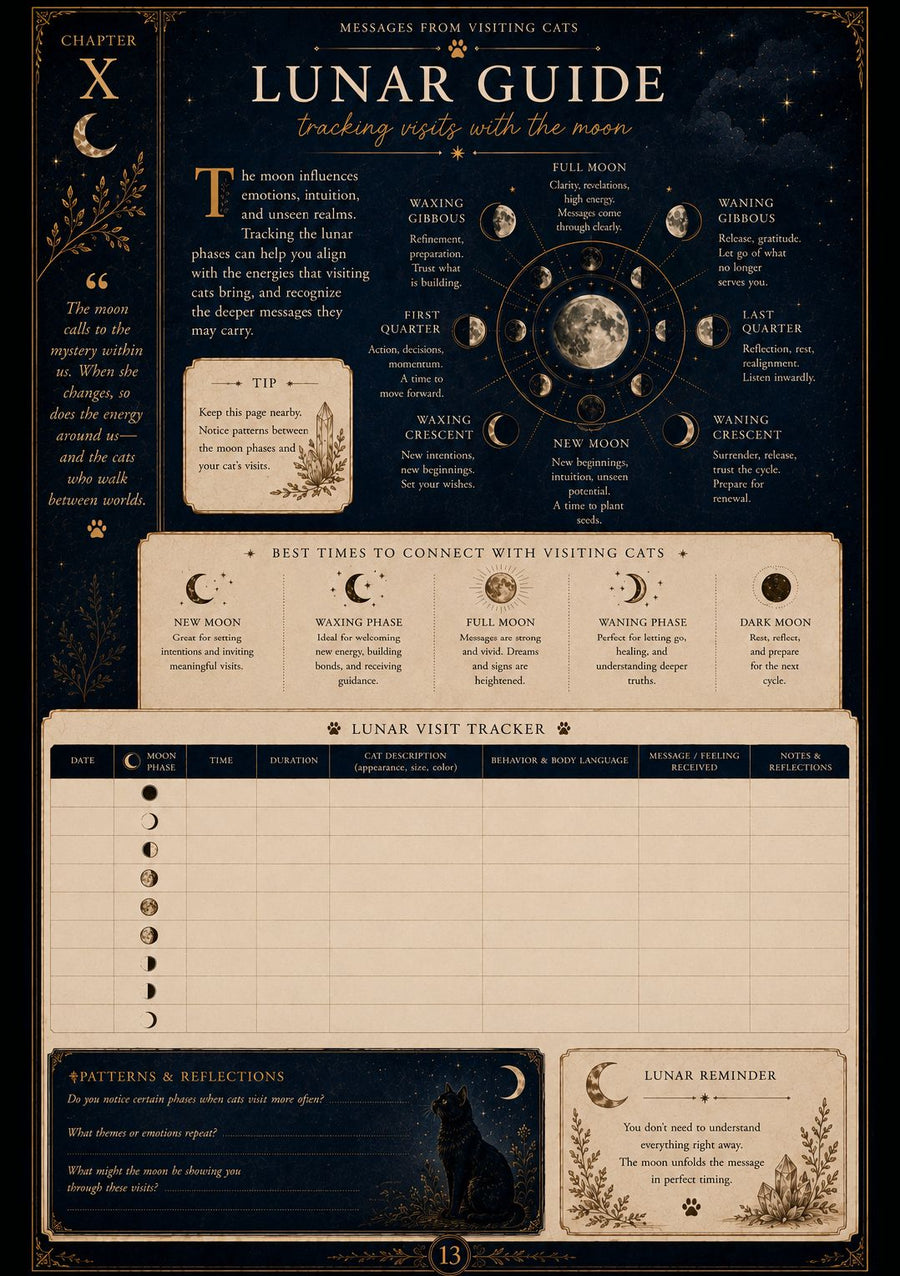 A decorative 'Lunar Guide' page or booklet  with a dark navy and beige design, featuring moon phases, text about visiting cats, and lined tracking sections for lunar visitation. The layout is ornate and informative, with celestial illustrations and cream panels on a dark background.