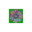 Square Matte Paper Poster Featuring Hand - Drawn Bright Mandala Art - Dark Green - Blululi