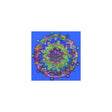 Square Matte Paper Poster Featuring Hand - Drawn Bright Mandala Art - Light Blue - Blululi