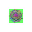 Square Matte Paper Poster Featuring Hand - Drawn Bright Mandala Art - Light Green - Blululi