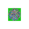 Square Matte Paper Poster Featuring Hand - Drawn Bright Mandala Art - Medium Green - Blululi