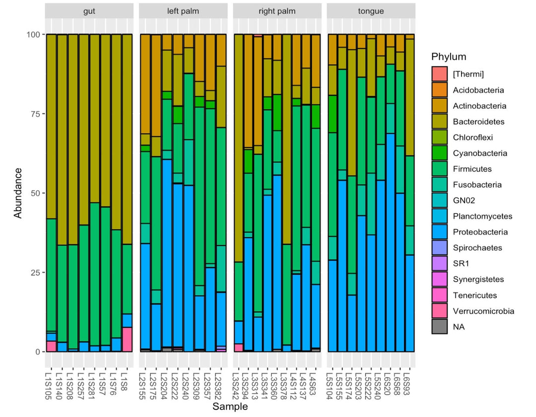 Streamline Microbiome Data Analysis with Comprehensive R Code: Phyloseq, Correlation, and Bioinformatics for 16S rRNA Meta - barcoding digital download - Blululi