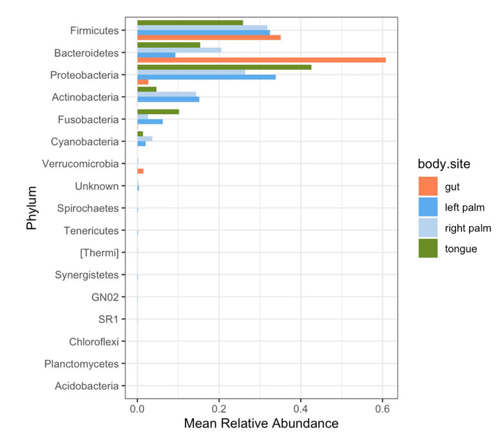 Streamline Microbiome Data Analysis with Comprehensive R Code: Phyloseq, Correlation, and Bioinformatics for 16S rRNA Meta - barcoding digital download - Blululi