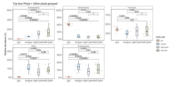 Streamline Microbiome Data Analysis with Comprehensive R Code: Phyloseq, Correlation, and Bioinformatics for 16S rRNA Meta - barcoding digital download - Blululi