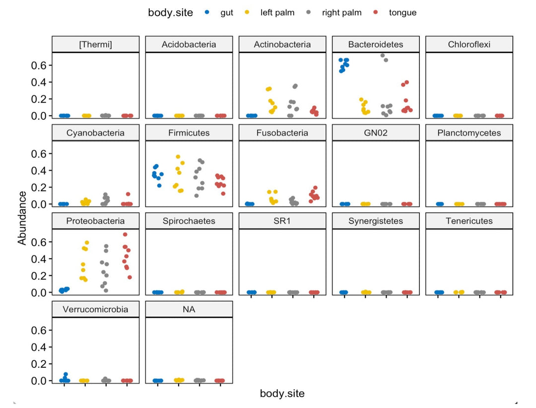 Streamline Microbiome Data Analysis with Comprehensive R Code: Phyloseq, Correlation, and Bioinformatics for 16S rRNA Meta - barcoding digital download - Blululi