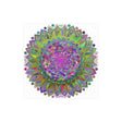 Vibrant Mandala Poster - Colorful Art Print Poster - Blululi